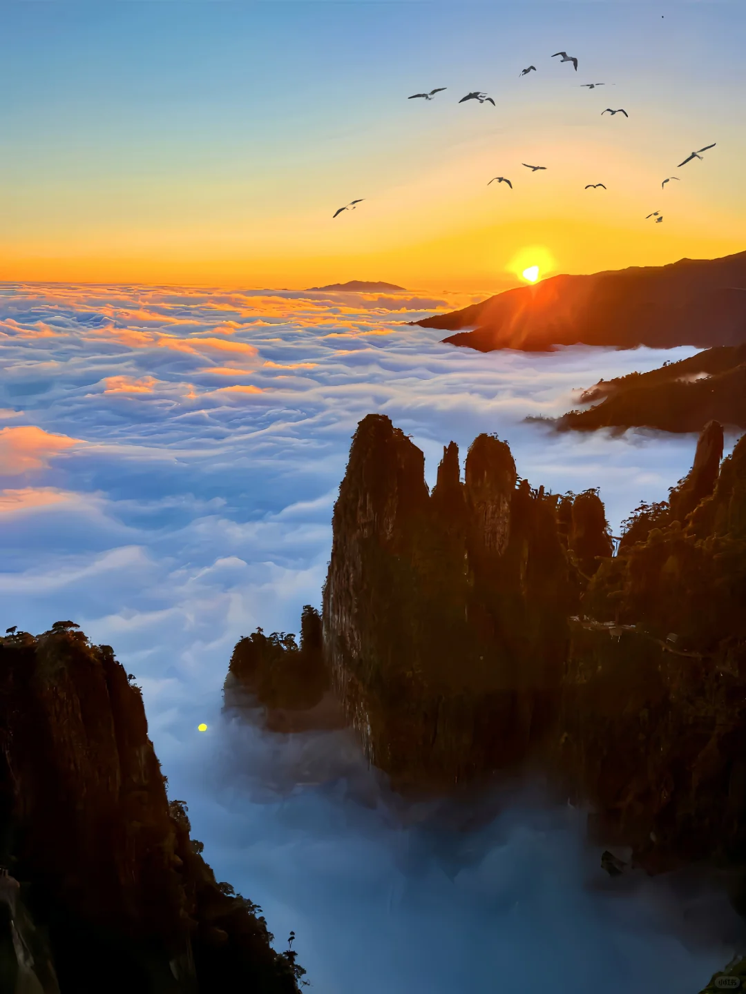 以为武功山已经很美了，直到我来了莽山❗️❗️