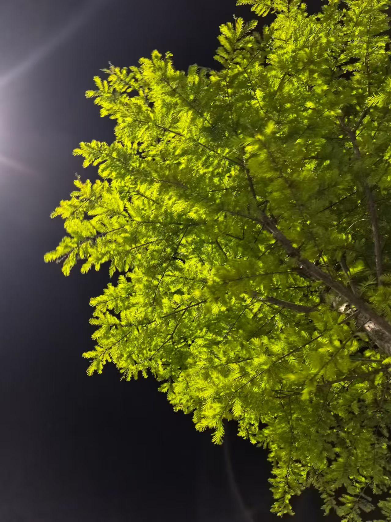 我这个朋友都急哭了，

就差跪地上求别人了，

他没想到事情怎么会变成这样？
