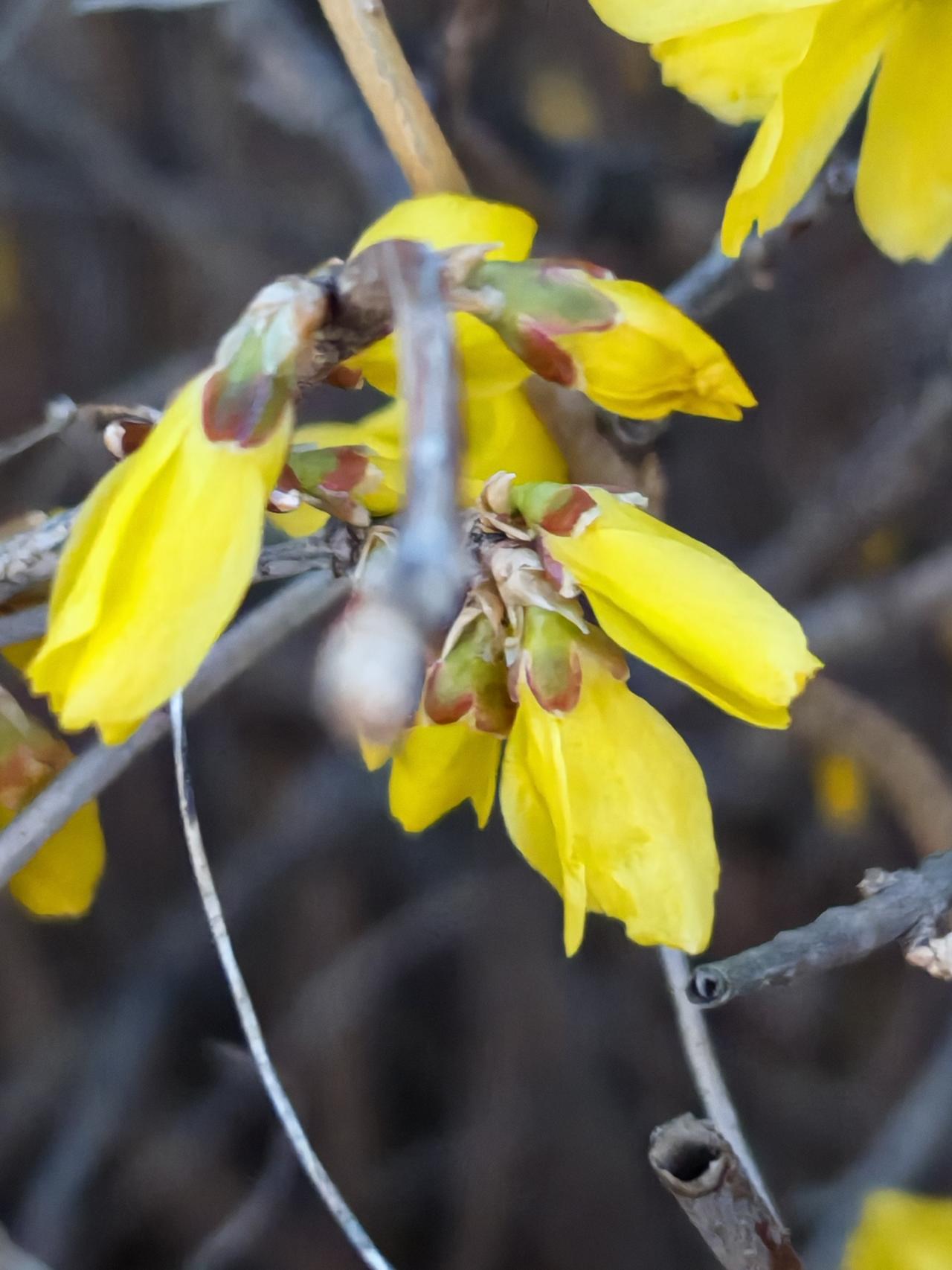 与痛风斗争的历程207
 
   今早醒来，浑身关节状态都不错，左膝和左肩没有明