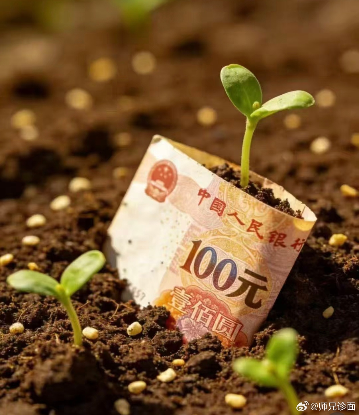 春种一粒粟，秋收万颗子。点赞来下种了，到了秋天，你会有满满的收获。 