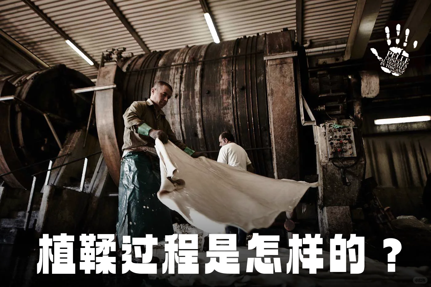 植鞣过程是怎样的？幕后大解析