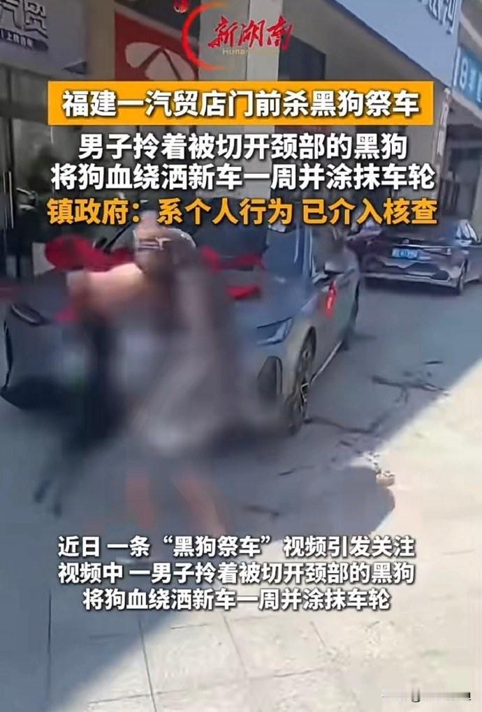 提新车绑红绸、放鞭炮我懂，但拎着黑狗洒血“祭车”，这到底是祈福还是作妖？

这两