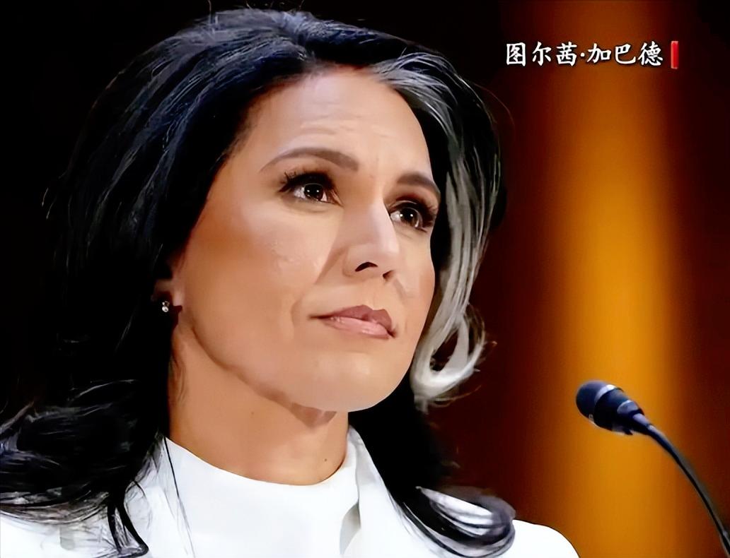 美国国家情报总监图尔茜·加巴德在社交平台发了一段话，她毫不客气指责北约和欧盟正在