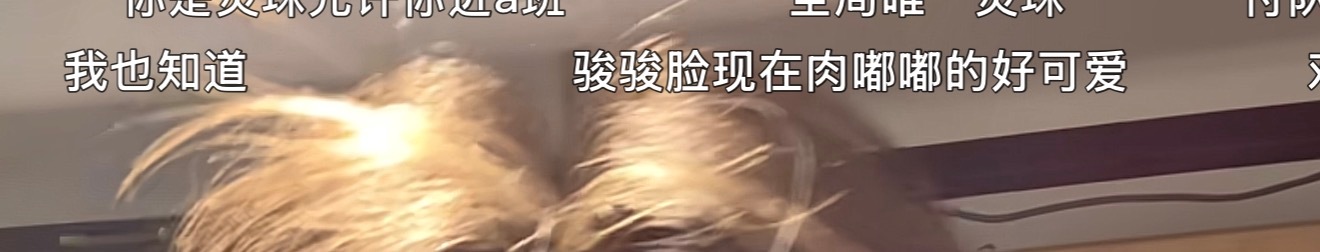 不行