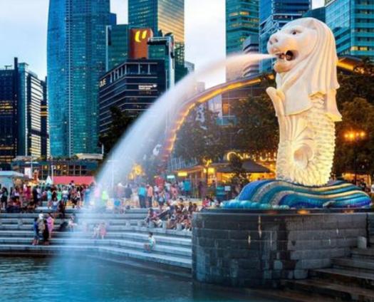 一位新加坡华人终于说了实话，他表示，在新加坡的华人，根本不在乎中国到底好不好，很