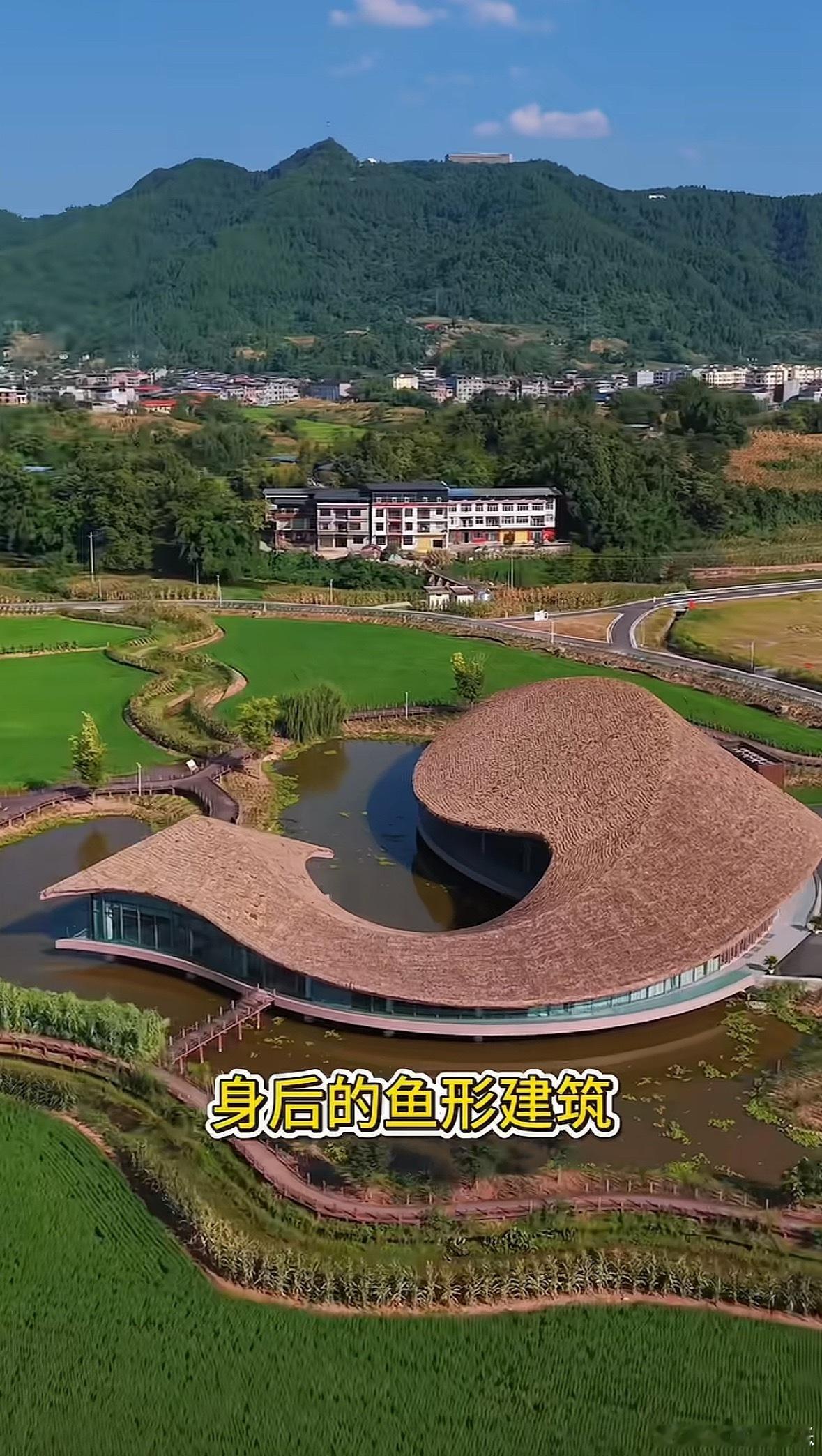 竣哥搞了个大事，做了个西南最大的小米车友会，还有专门的活动中心。啊。。这个这个活