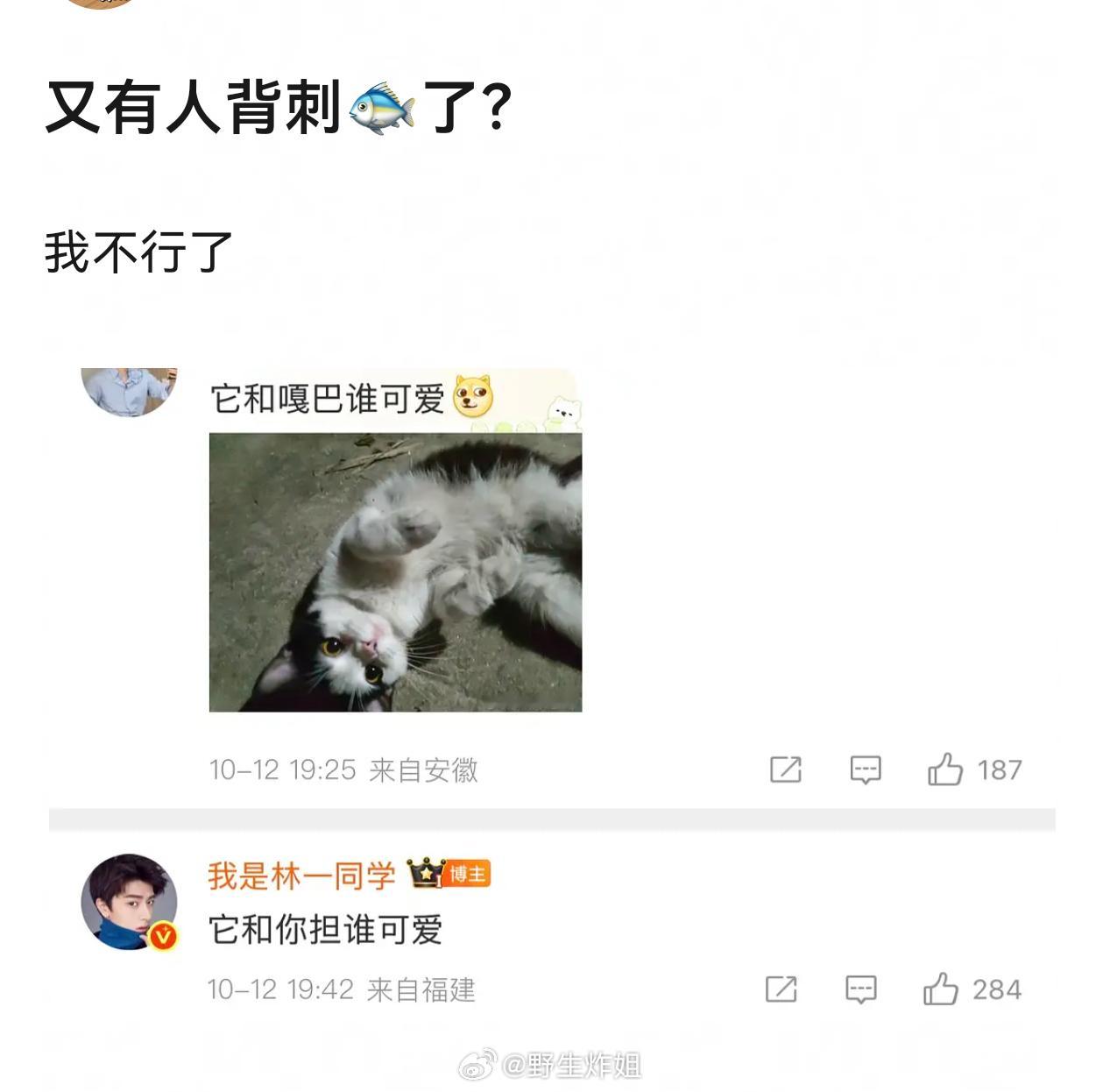 林一：它和你担谁可爱 ​​​