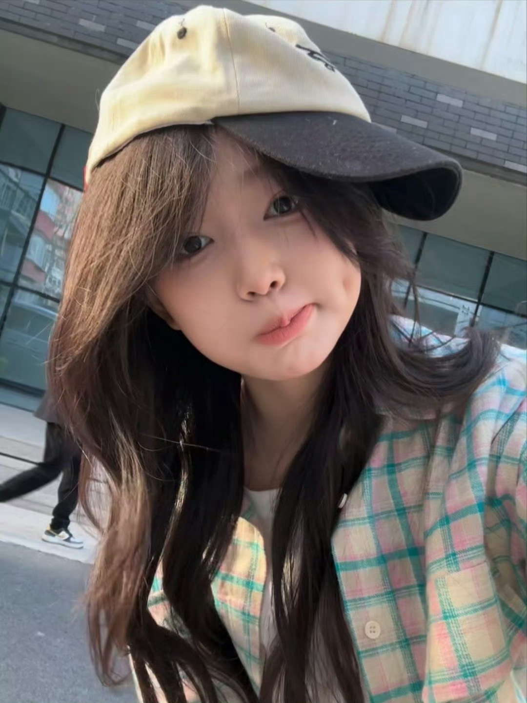 我不是谁，刻骨铭心的常青树，我只是一段路。 ​​​