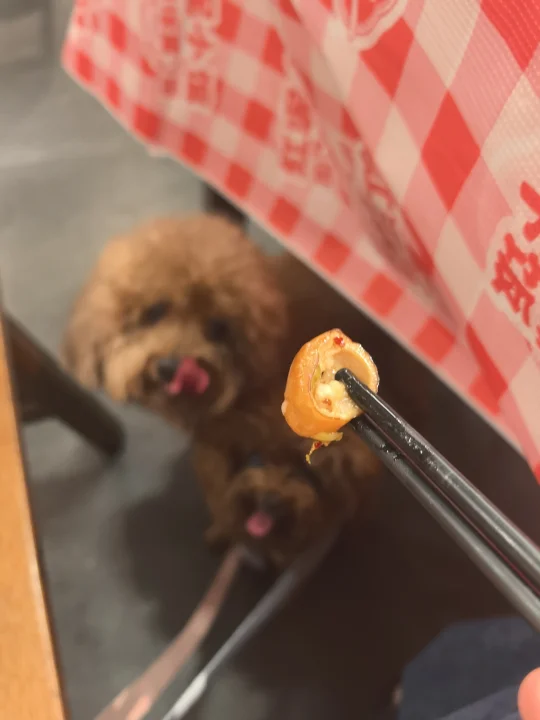 哈哈哈😂馋哭狗子了