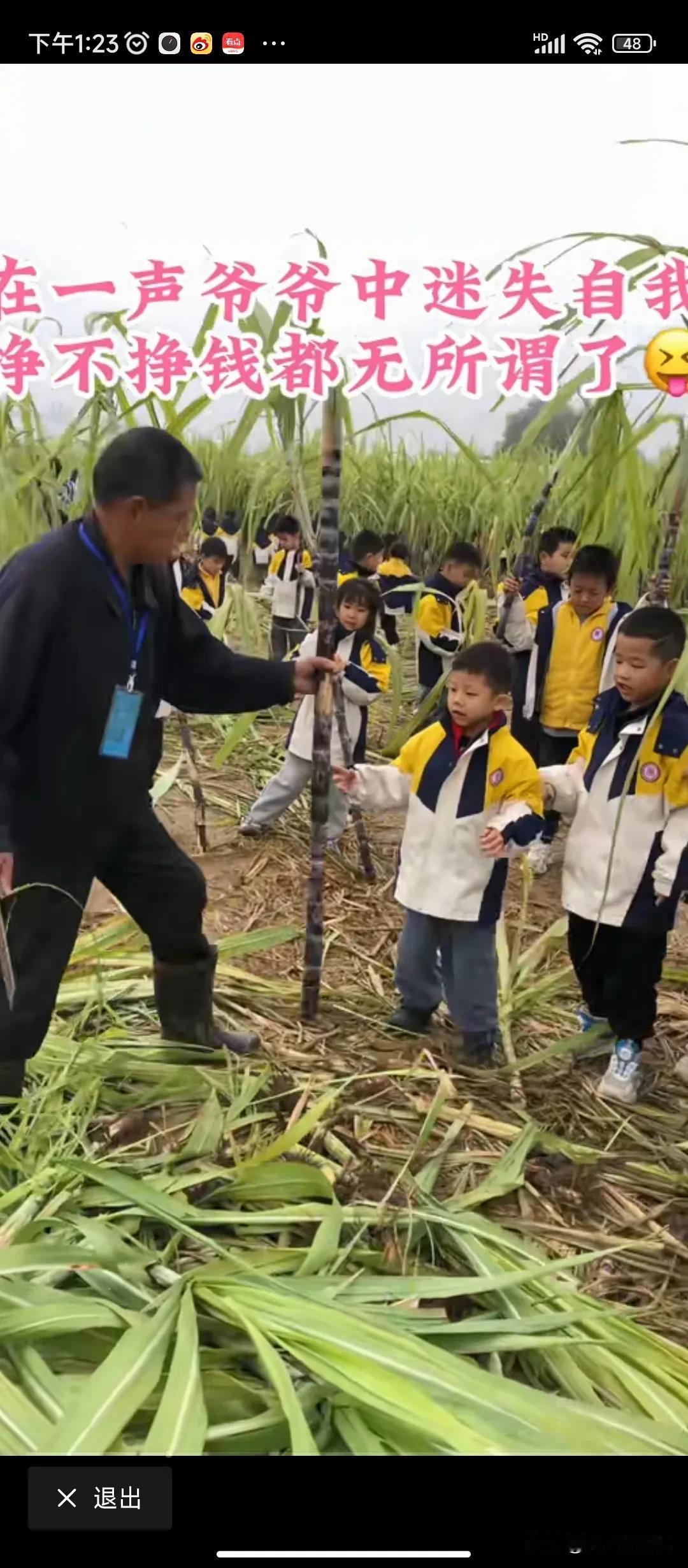 挣不挣钱的，其实已经无所谓了，老人家在娃娃们一声声亲切的爷爷叫喊声中，车底迷失了