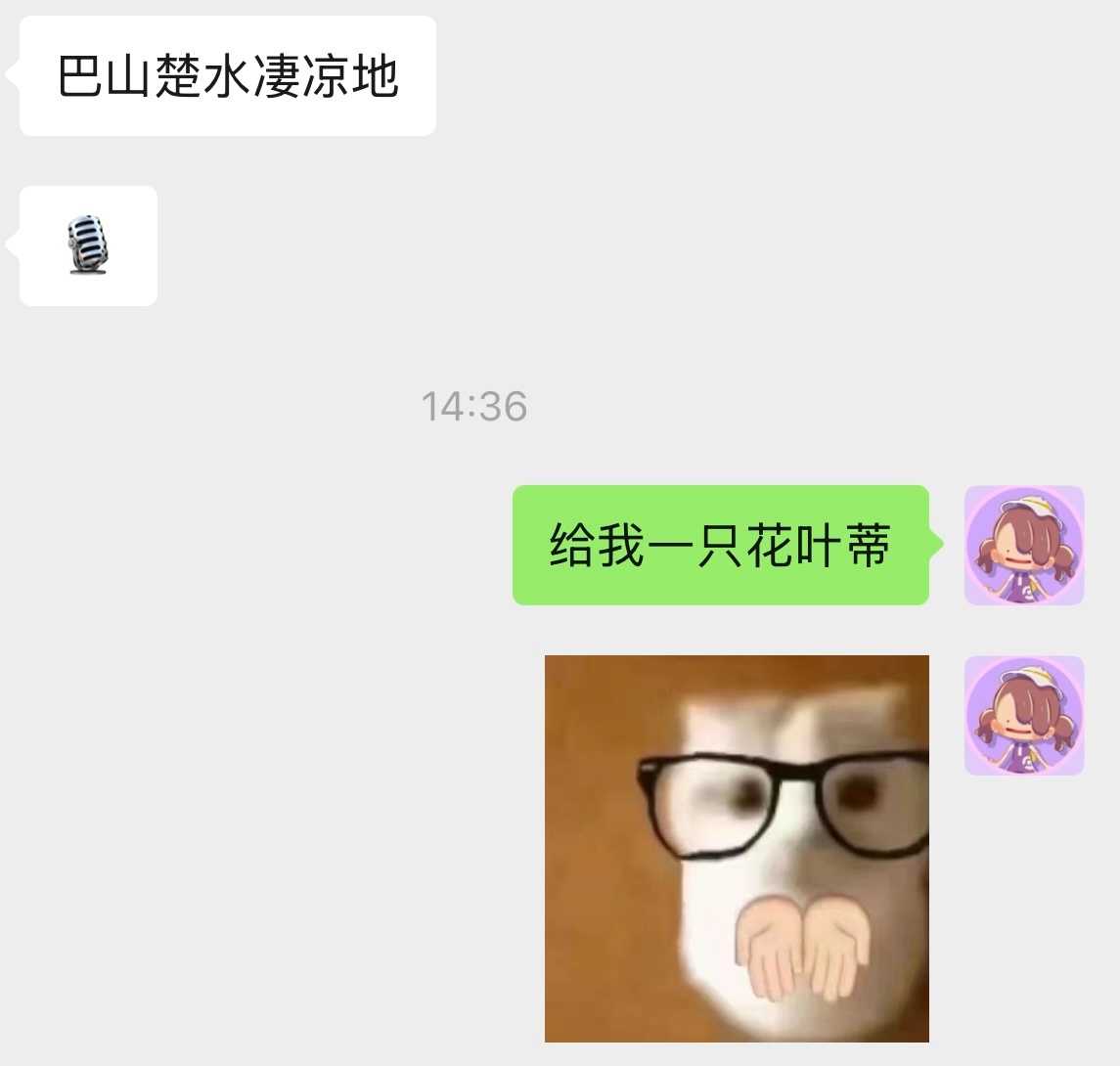 不知道在聊啥 没谁了🙉 
