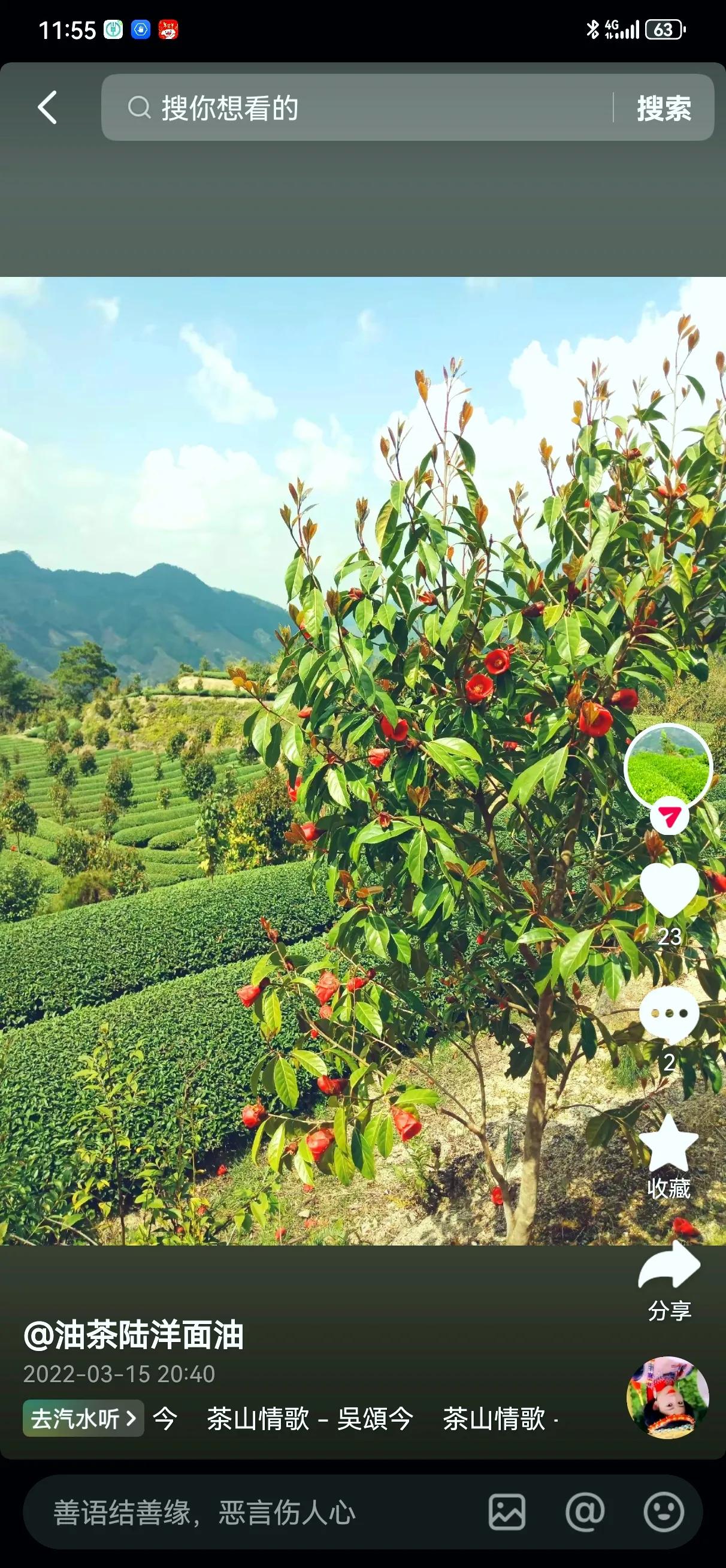 红花油茶不抢地盘
​田间地头、房前屋后、行道两旁、茶山、锥栗山，都是她满意的栖身