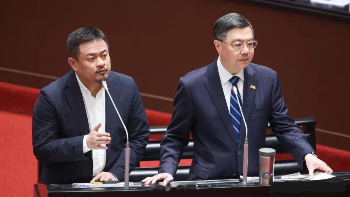 笔骨子有事说事 民进党决定来大陆，自我评估不会被抓！民进党这回又玩起了“精神分裂