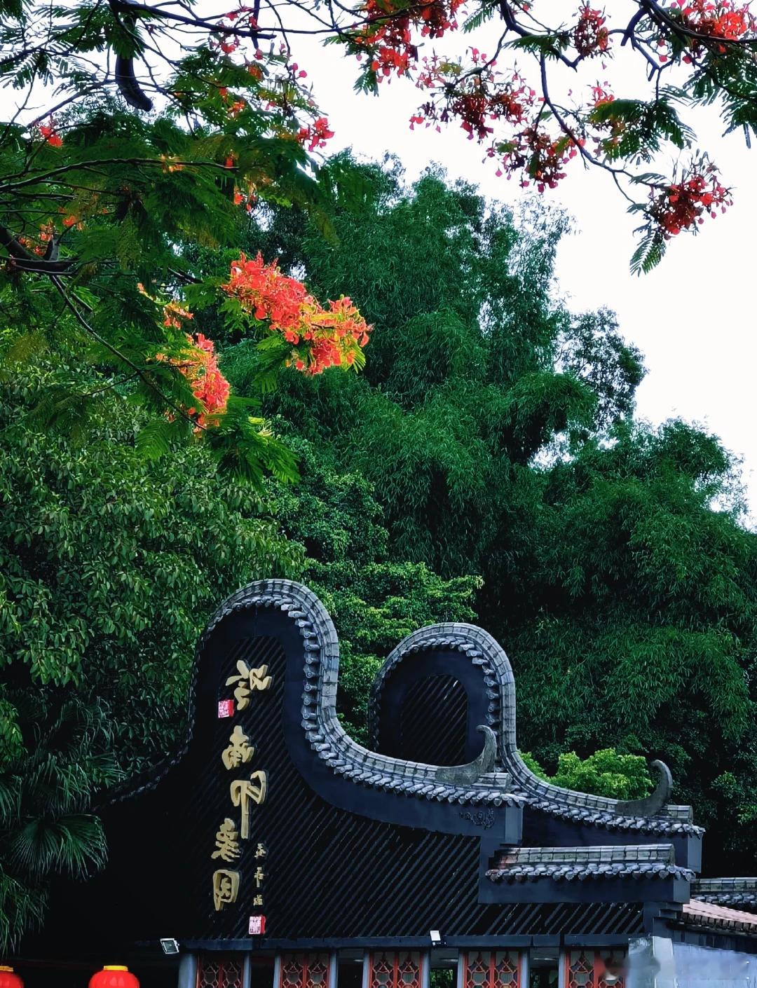 一花一叶，皆是温柔～寻美河南寻美西华 ​​​