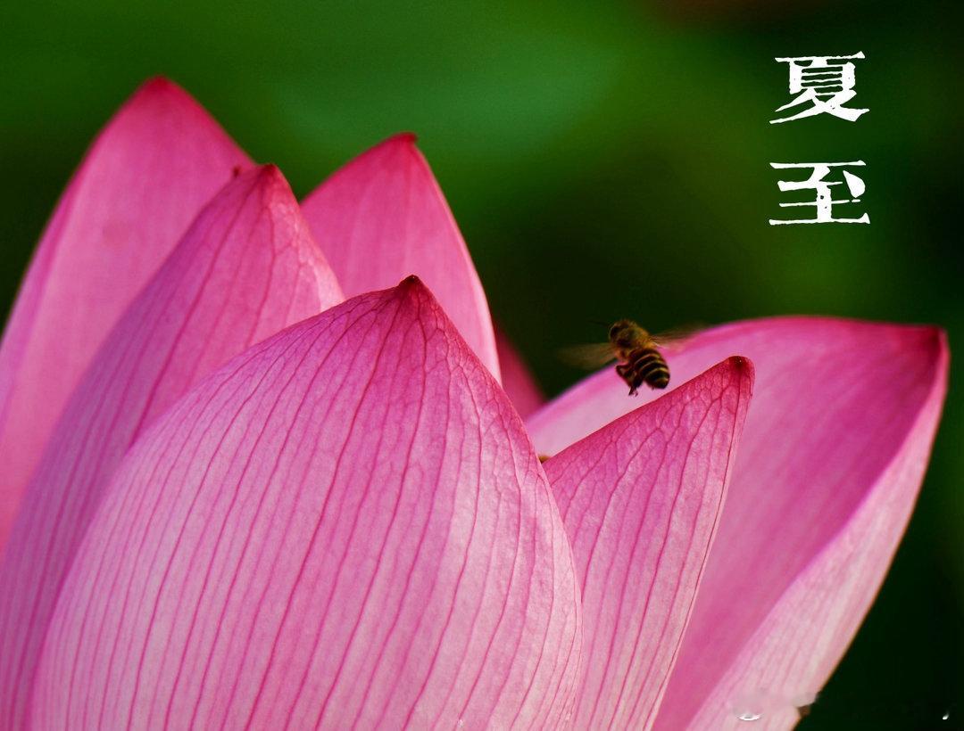 夏至了 
