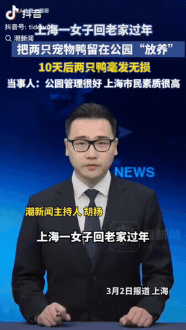 上海，一女子要回老家过年，但是她的两只宠物鸭带不上车，女子灵机一动，于是她将宠物