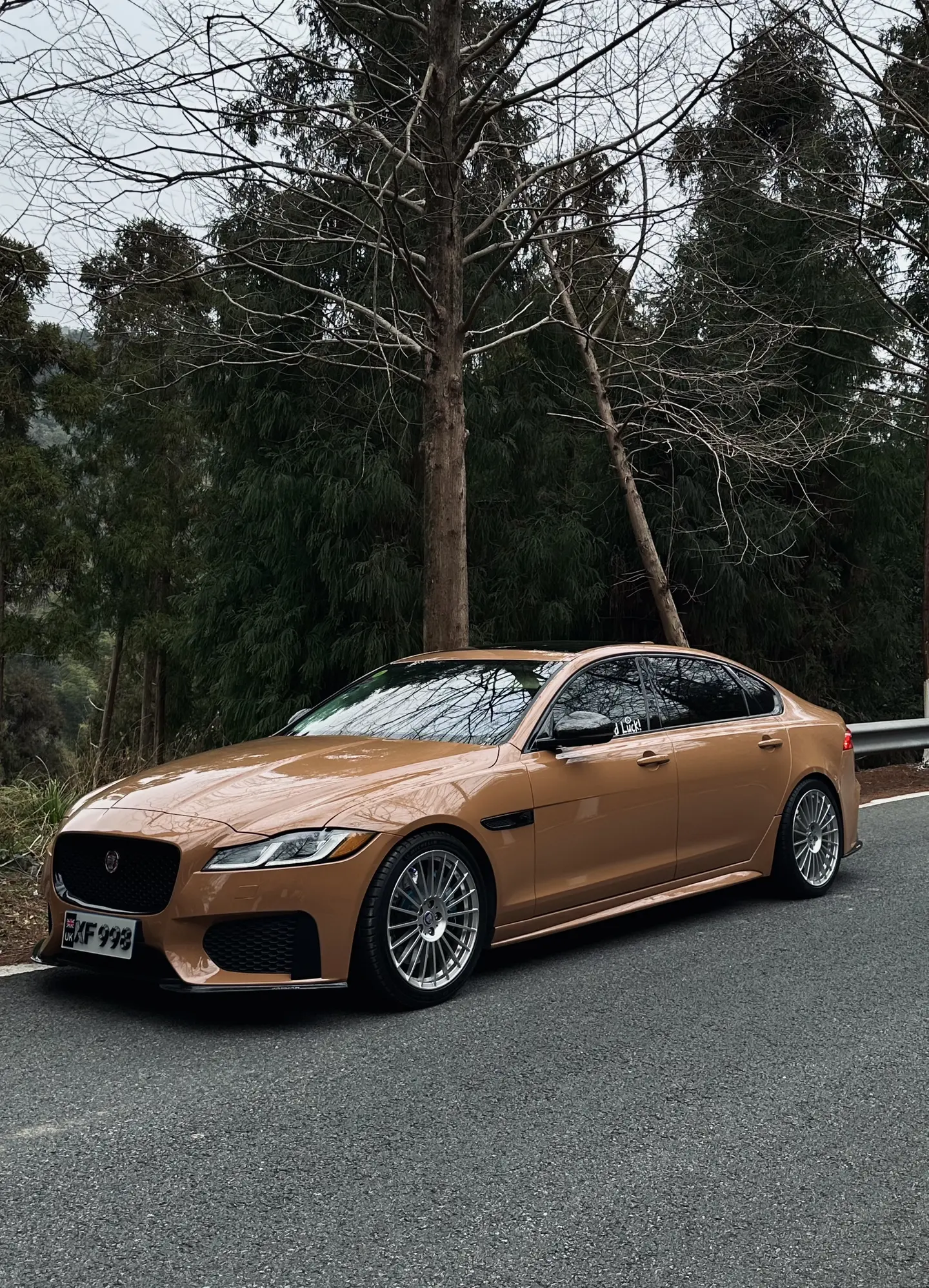 林间的英伦轿车，Jaguar XF。