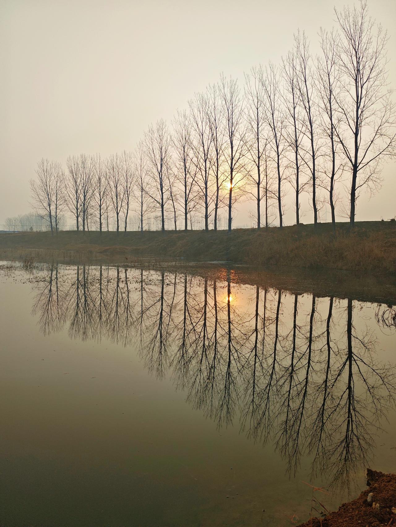 父年卒月，已去四十六载，今母远世，回乡安葬。于河畔，寻一新处，启父移坟，吾亲拾骨