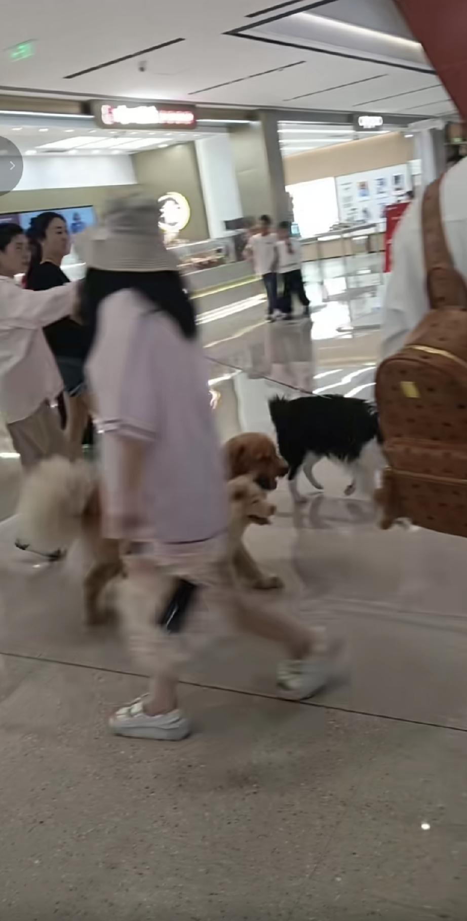 这就是一些媒体在极力吹捧和鼓噪的狗经济下的年轻人，没有信仰、道德缺失、世界观扭曲