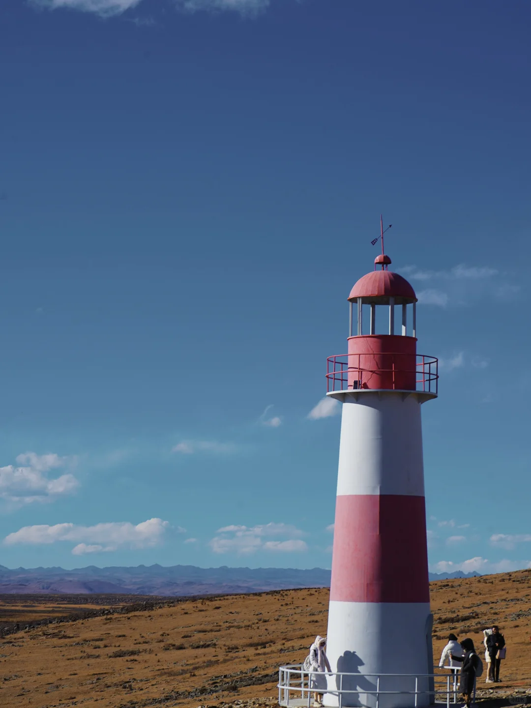 川西随拍｜城市的“牛马”VS高原的牛马🐂🐎