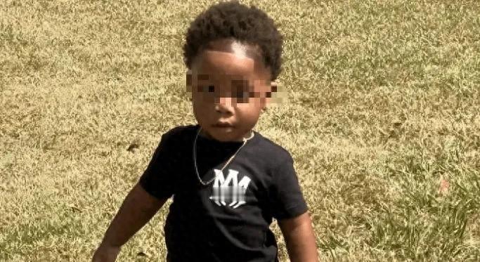 无证日托藏隐患，保姆睡觉两小时，幼童命丧恶犬口。
美国佐治亚州一个2岁男孩被发现