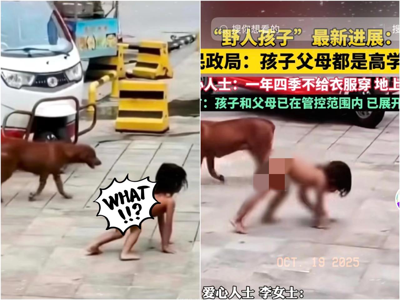 野人小孩”的父亲是一个狗场的老板，母亲是研究生学历，两人有一个很大的养狗场，厂里