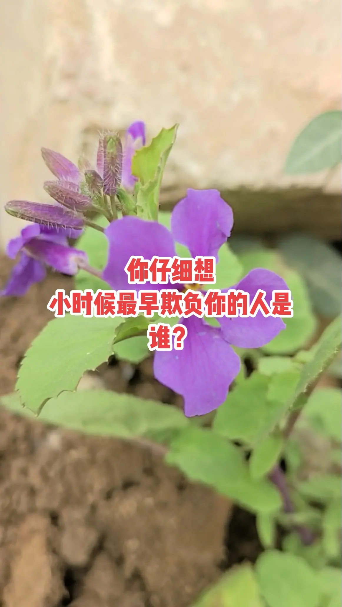 不是每个孩子的童年都是美好的…