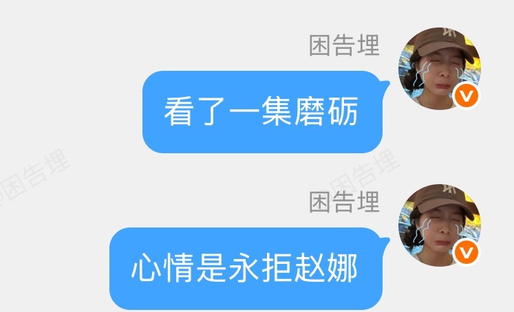 对赵娜的艺术完全是铁壁女状态 真心没遇到这种积累了一大波小众精品剧粉但我丁点儿g