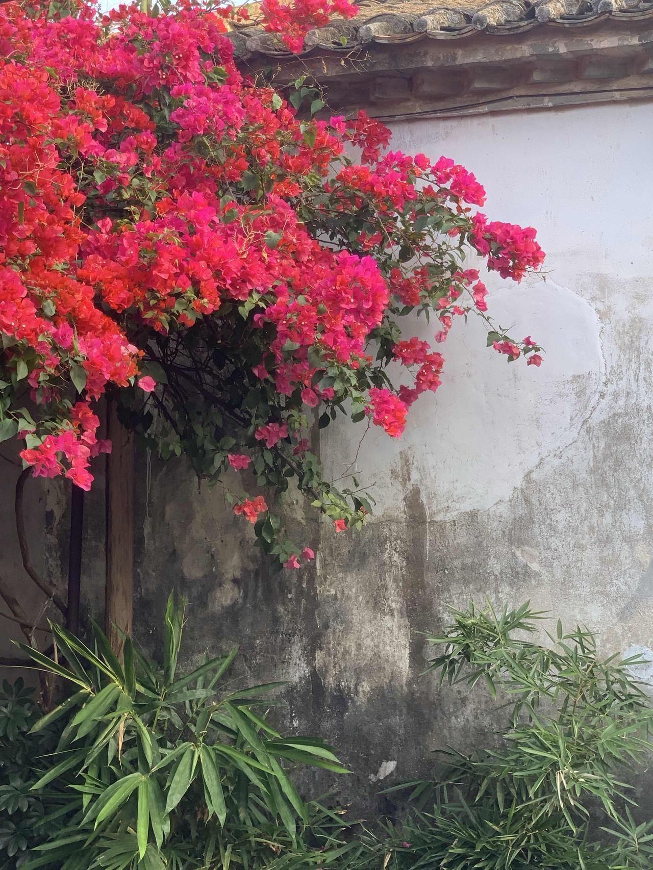 分享一句人生感悟日子是慢慢过的，福气是慢慢攒的，那些看似不起眼的坚持，最后都成了