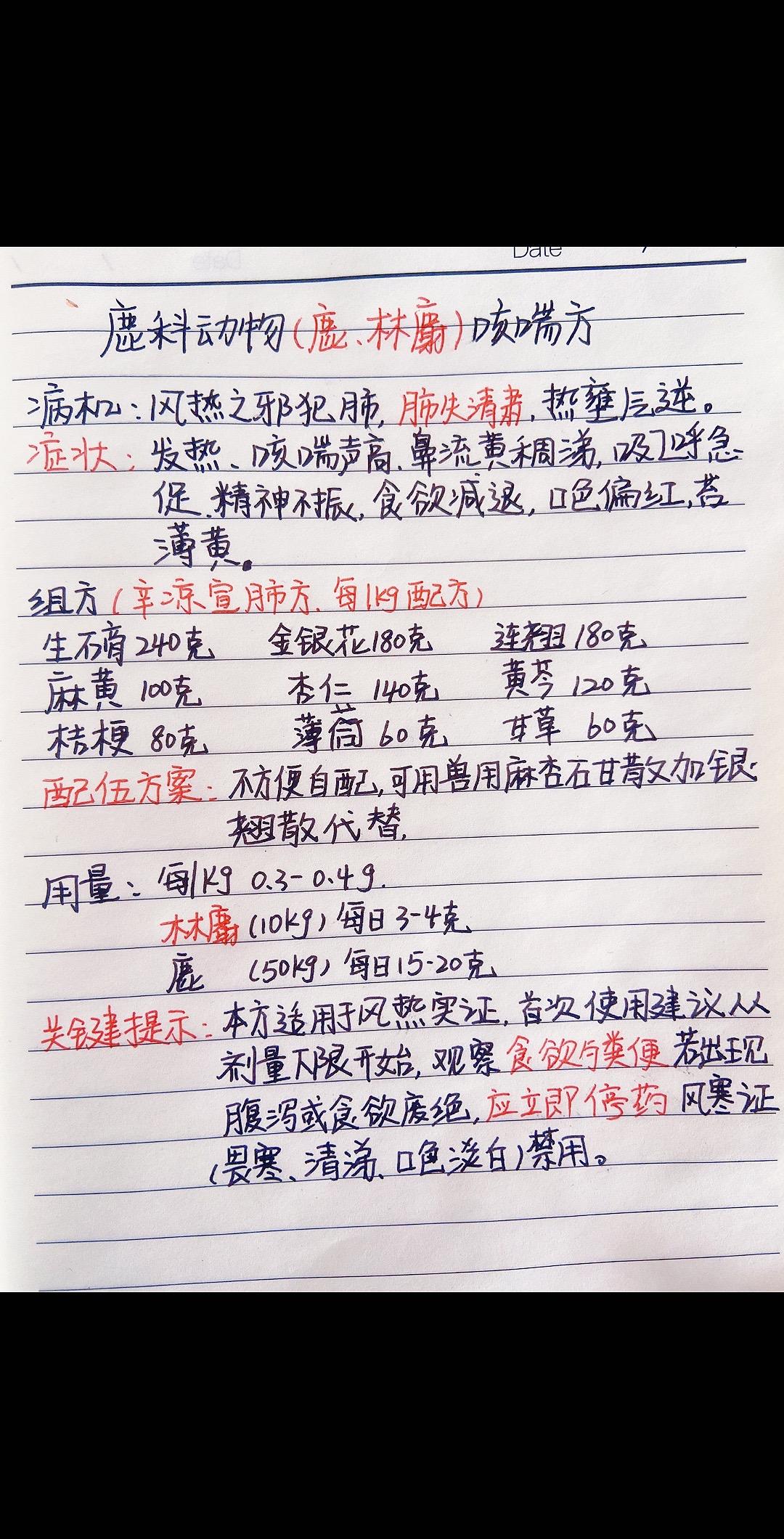 林麝林麝养殖麝香特种养殖中兽医