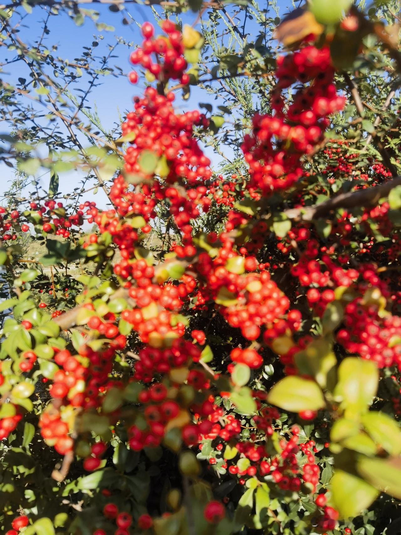 送走一穷二白
迎取万紫千红