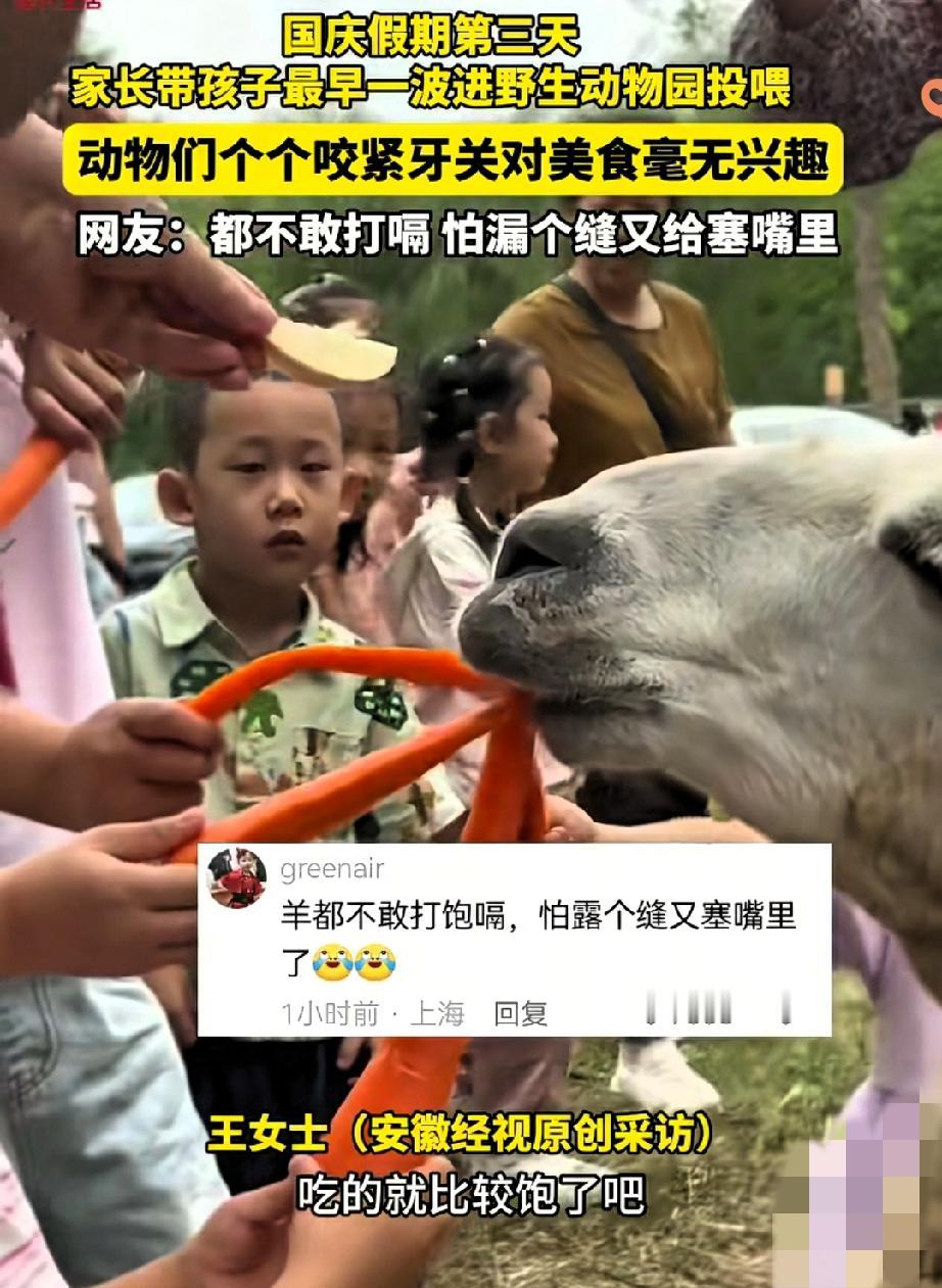 笑不活但又有点扎心！
江苏南通动物园这幕太真实了——

国庆大清早，宝妈带着娃举