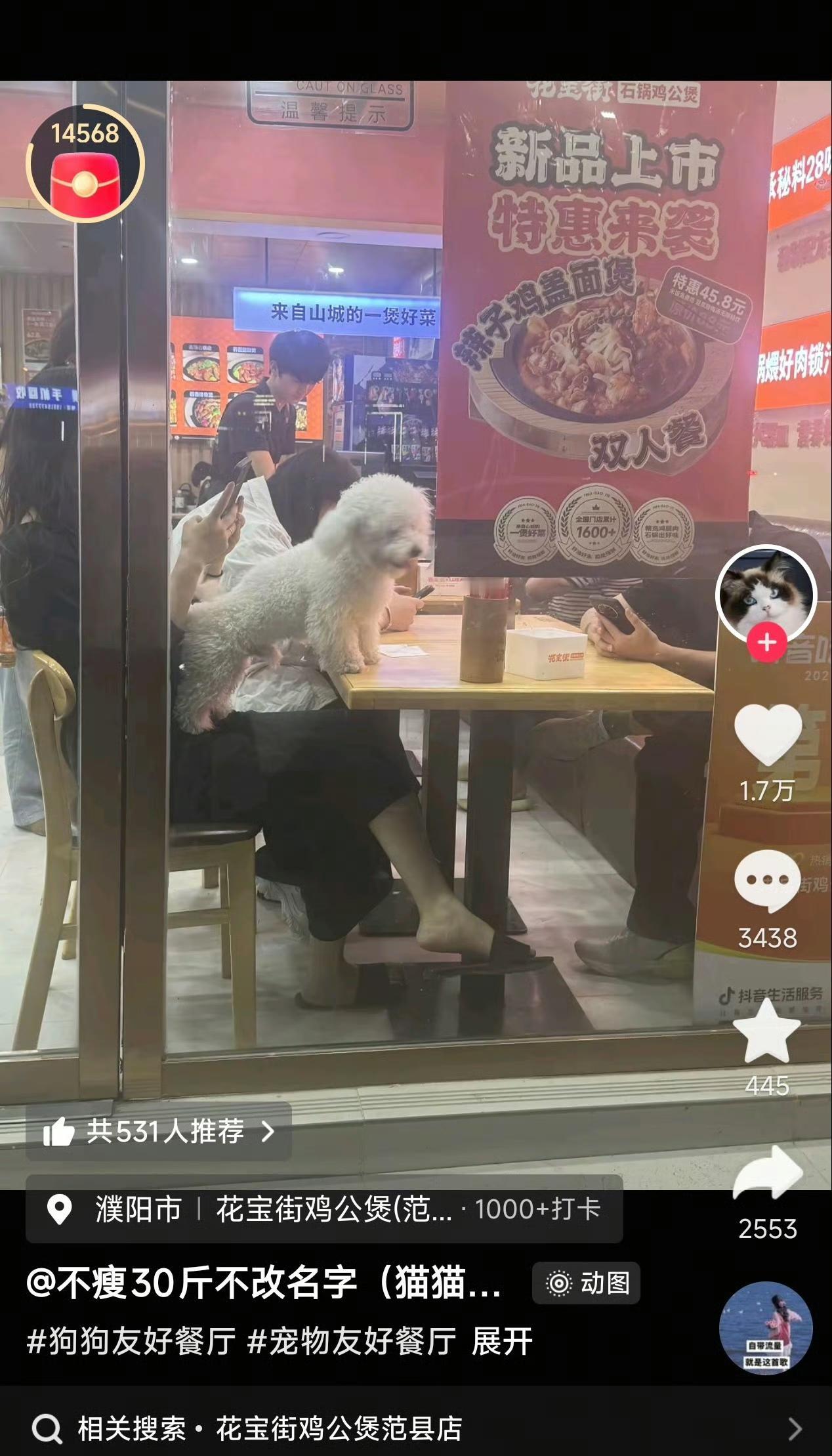 濮阳市花宝街鸡公煲（范县店）纵容宠物狗进店上桌，被网友曝光后，第一时间想的不是整