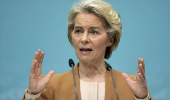 欧盟宣布了

12月16日，欧盟委员会正式宣布放弃2035年内燃机禁令，这是欧洲