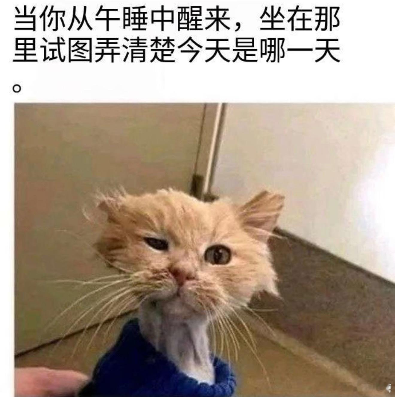 当代年轻人的迷糊程度论年轻人迷迷糊糊的时候都干了什么[卡皮巴拉] ​​​