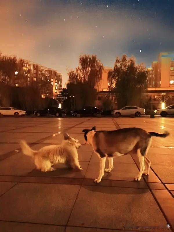 对方心怀不善时，言语可伪装，但内心的态度骗不了自己。口中一句“嗯，我知道了”，便