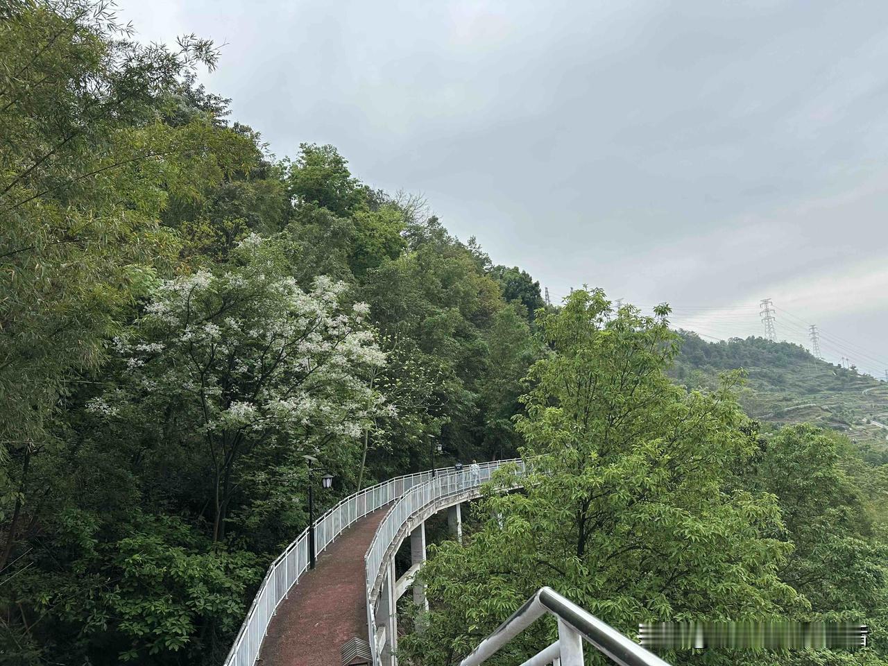 这个世界上
最不认命的
最努力搞钱的
最想出人头地的
最后99%的人都会走进K守