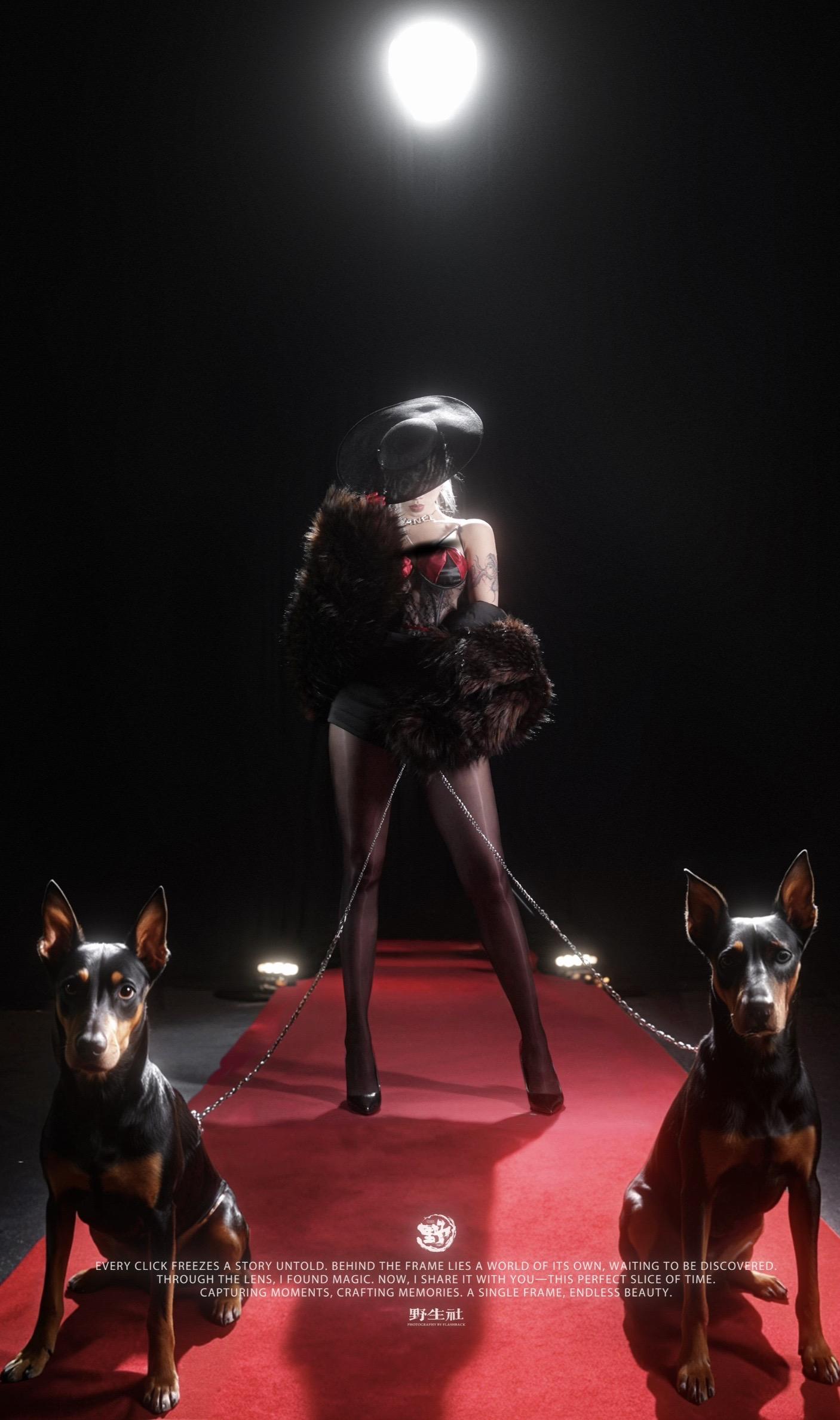 为我献上一切。