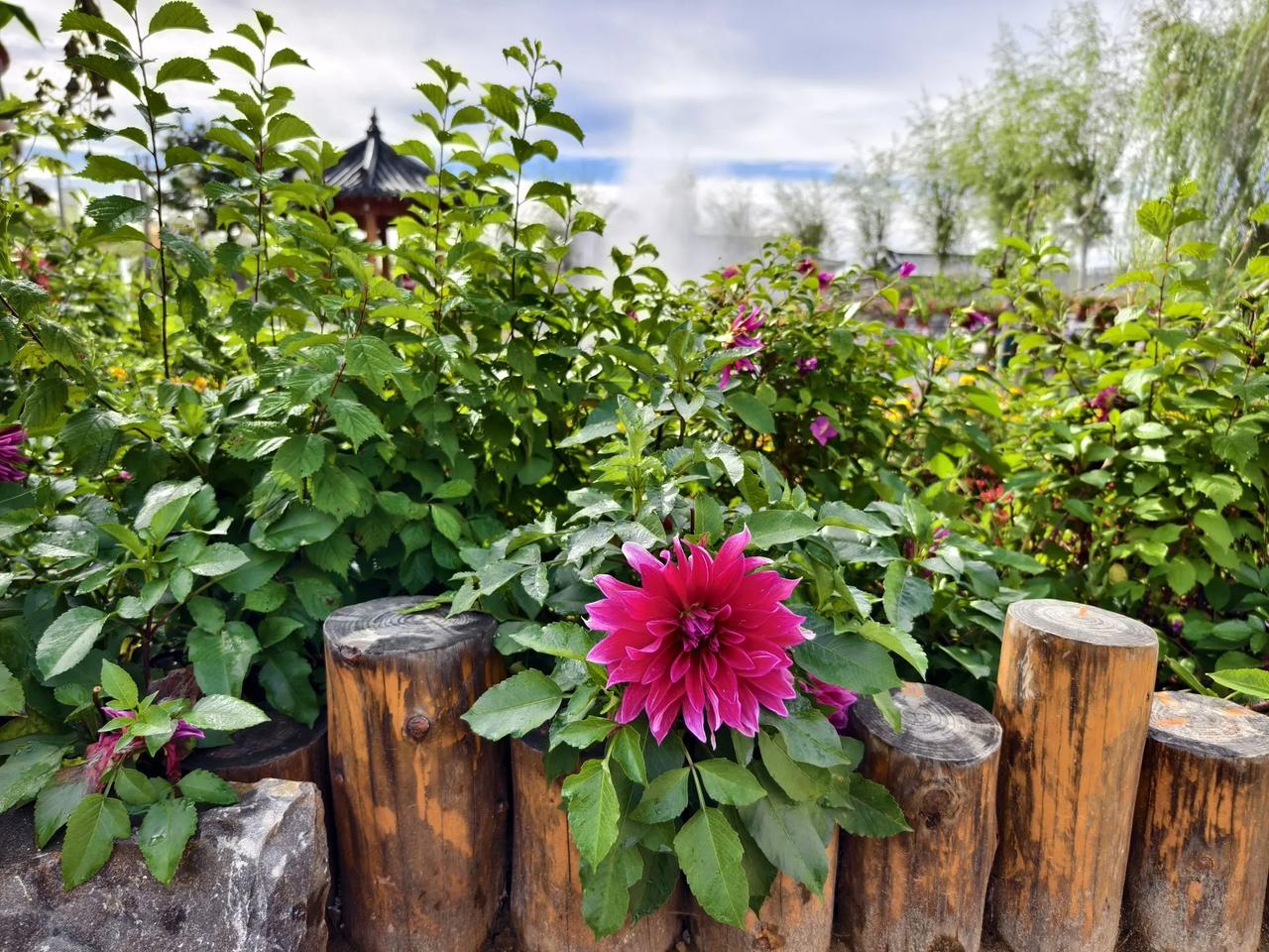 大美吉林敦化。