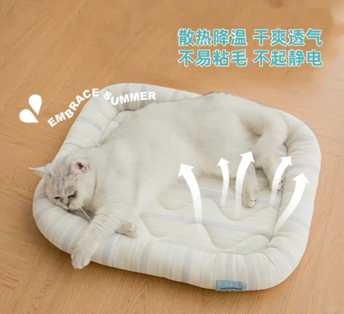 我家胖虎夏天的命是凉感猫窝给的🥵