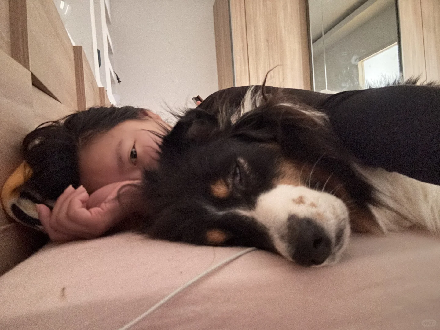 狗：真的睁不开眼
