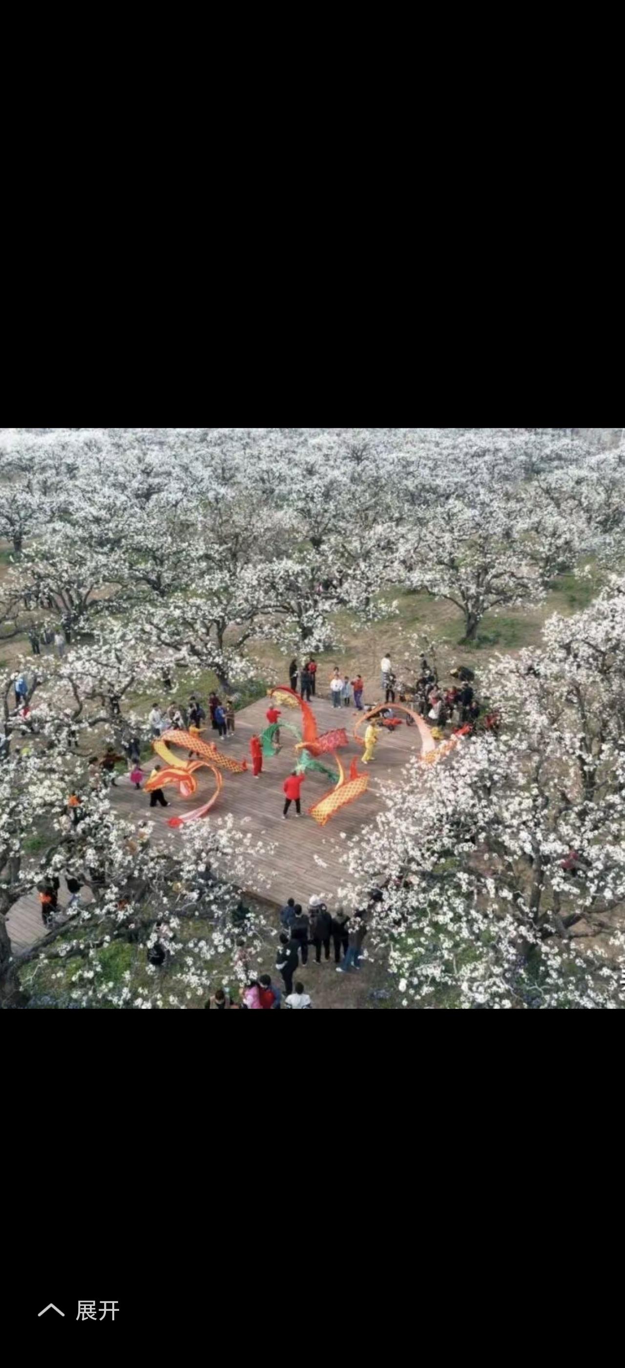 春色满园关不住