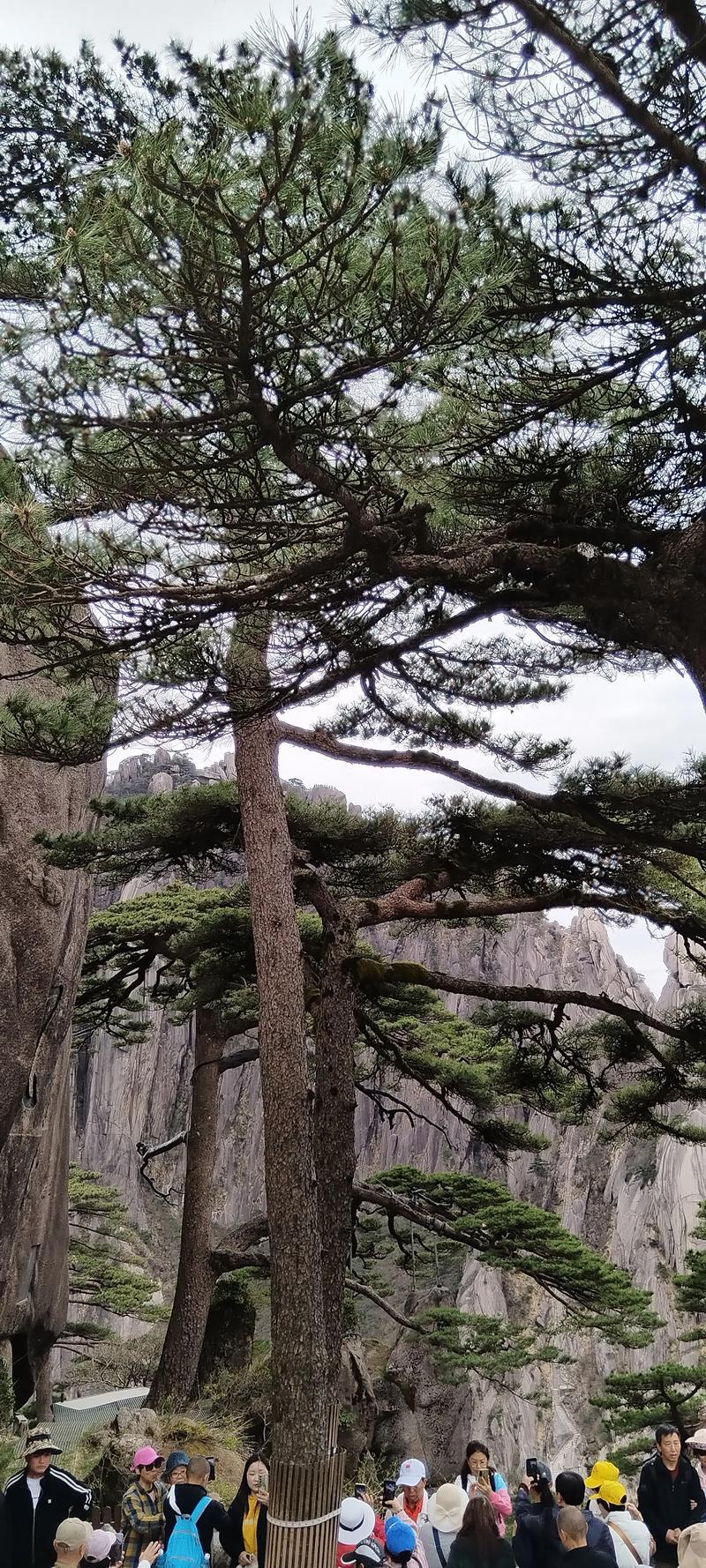 诗友上联：水中观月色；诚邀下联山上听松声