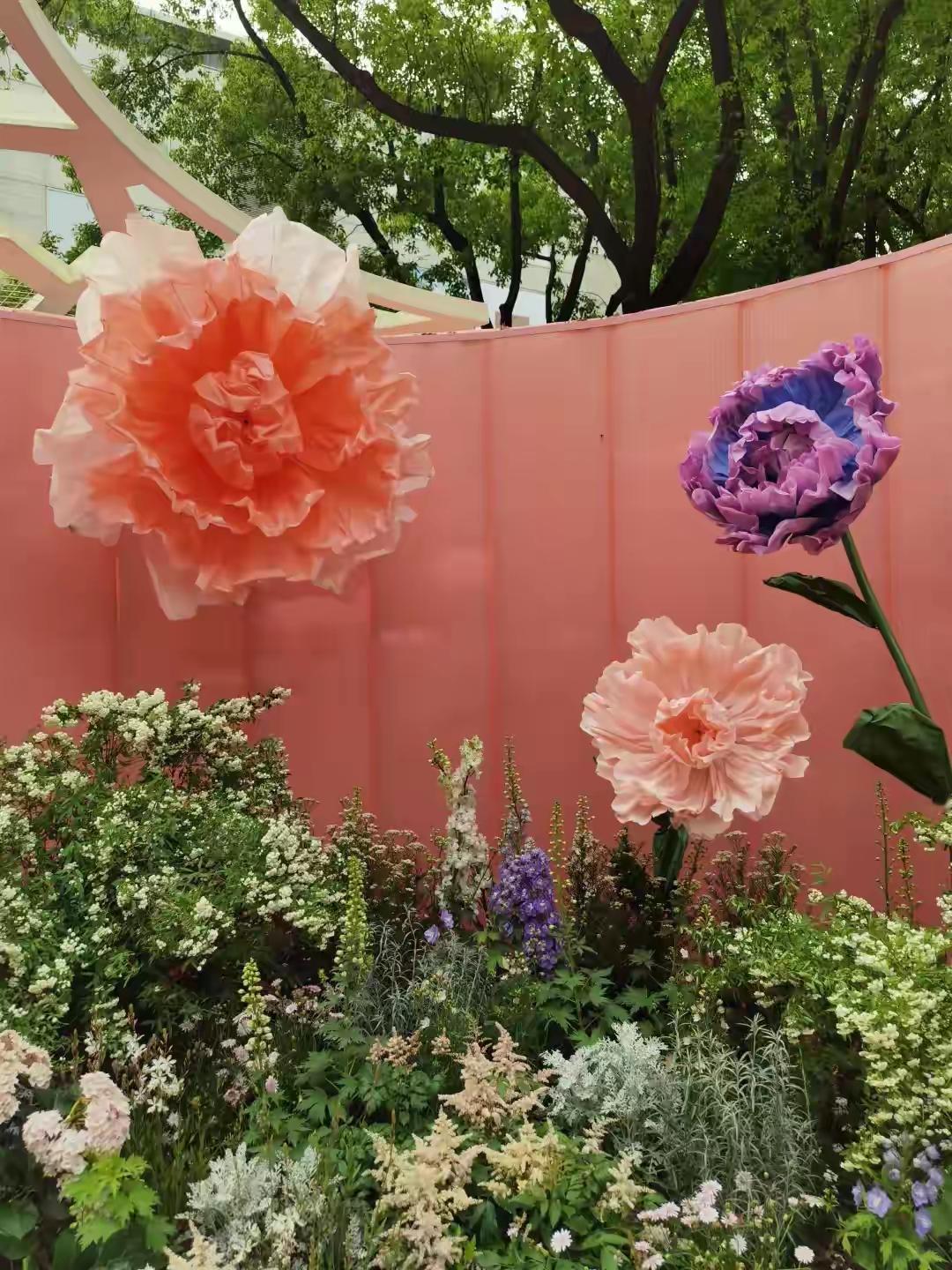 雨过天晴，万物可爱，又是美好的一天✨
​
​早鸭[太阳]