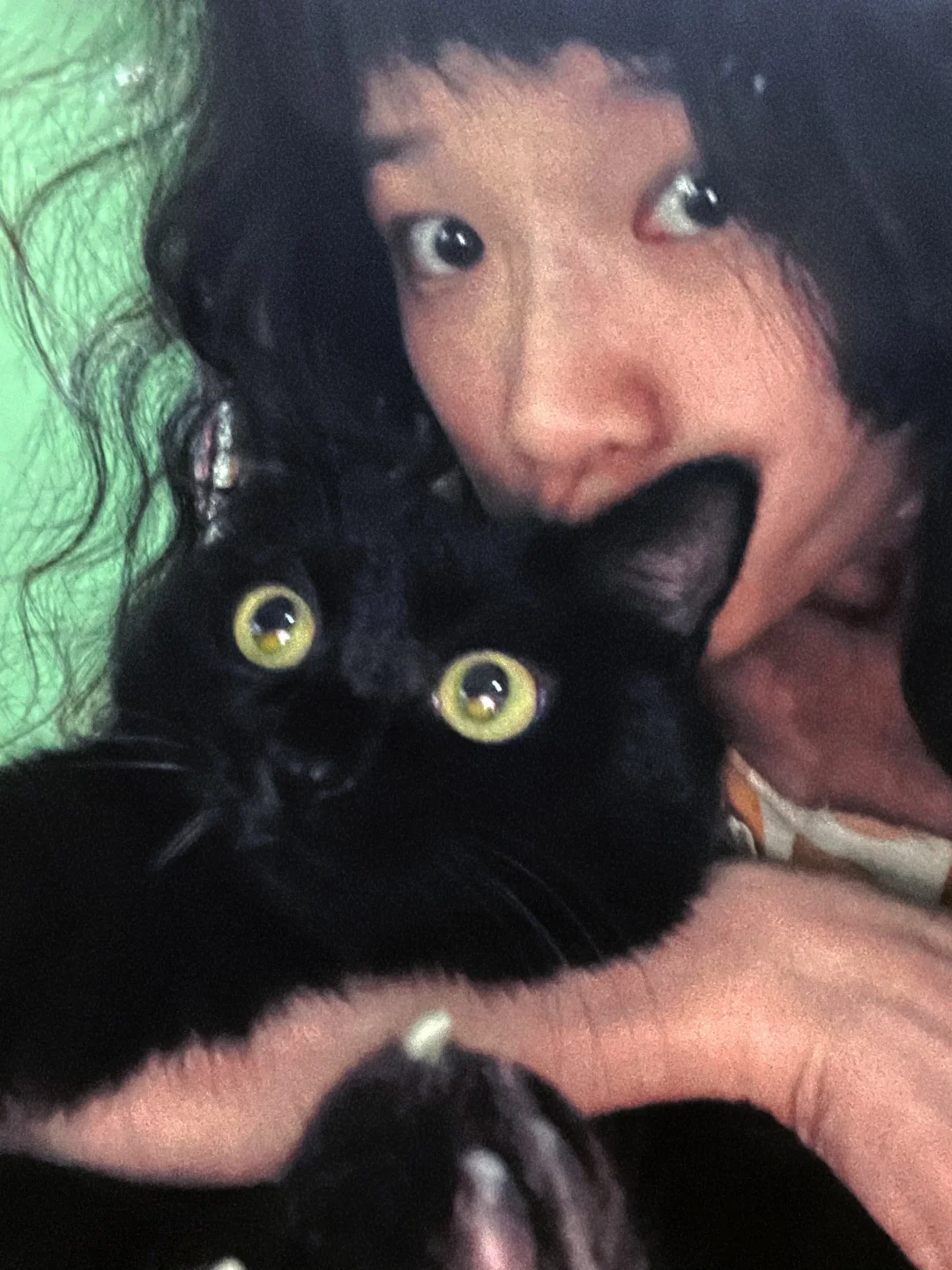 小猫咪，我们好！我们天下第一好 😍