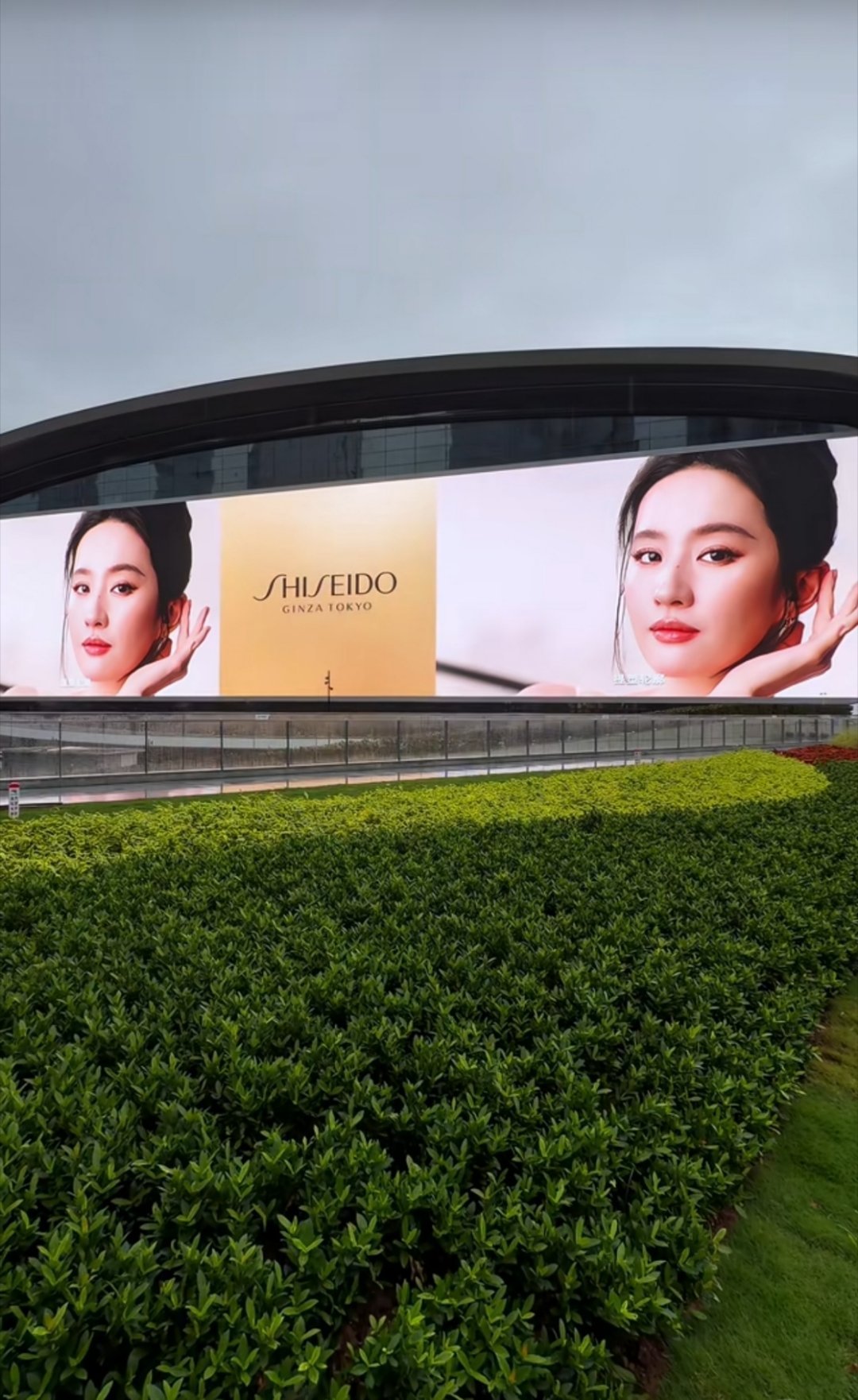 深圳投了好多广了，这个刘亦菲广告全国地广好多啊！我感觉这是资生堂投放力度最大的一