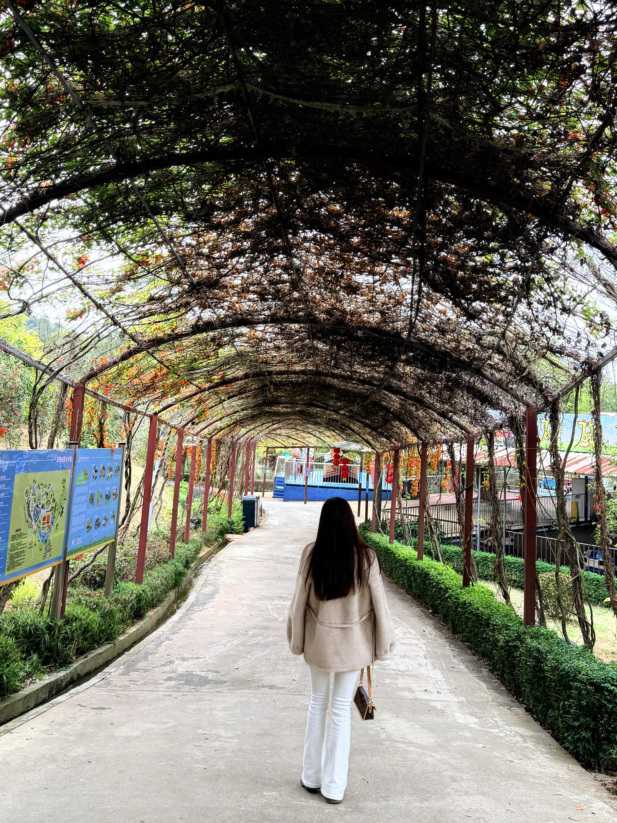 突然被这段话释怀了，有的人33岁就去世了，有的48岁也离开了。你一定要...