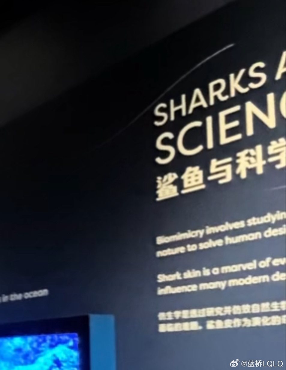 急急急🦈 