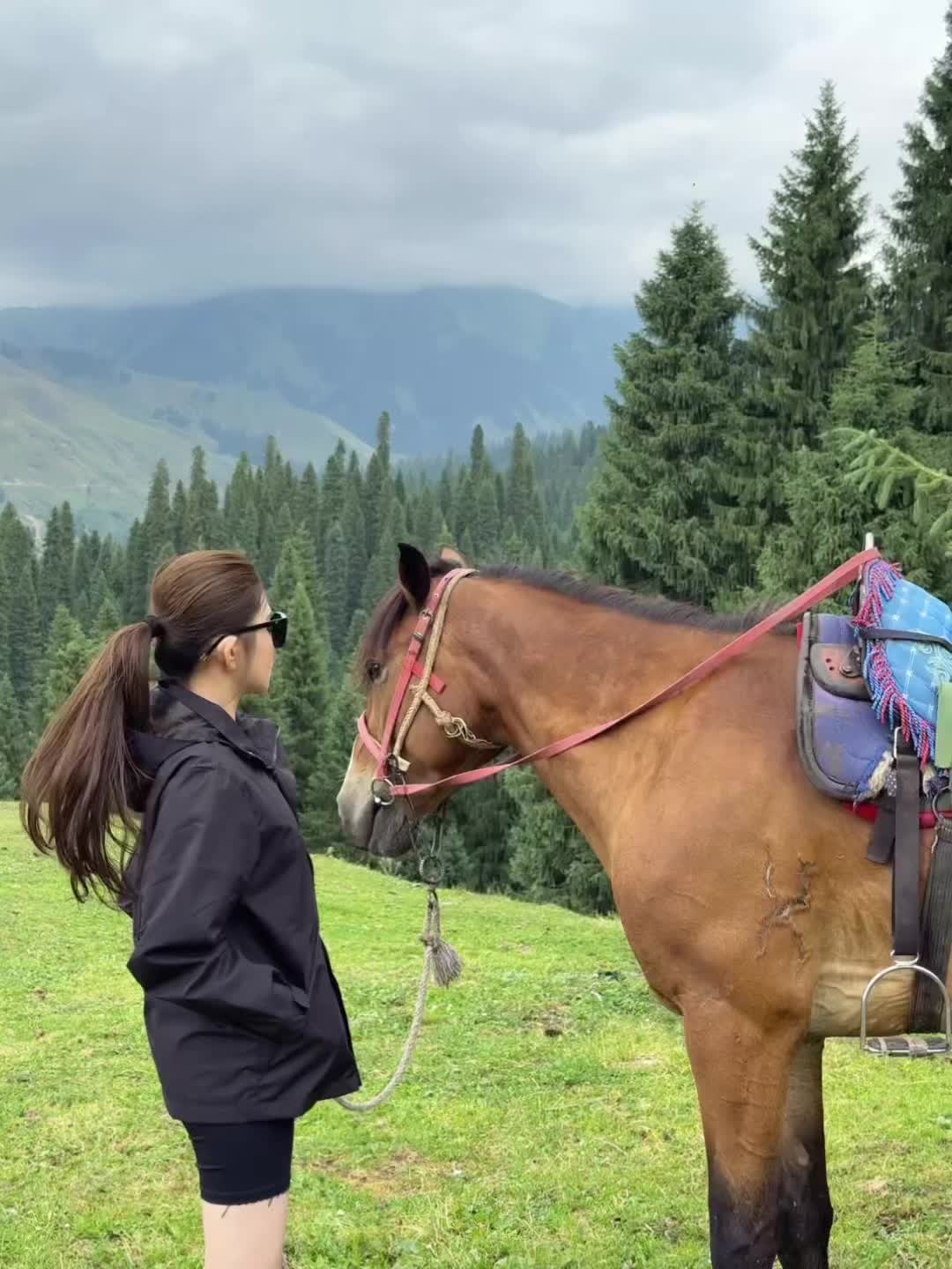 山林从不像四季起誓 枯萎随缘