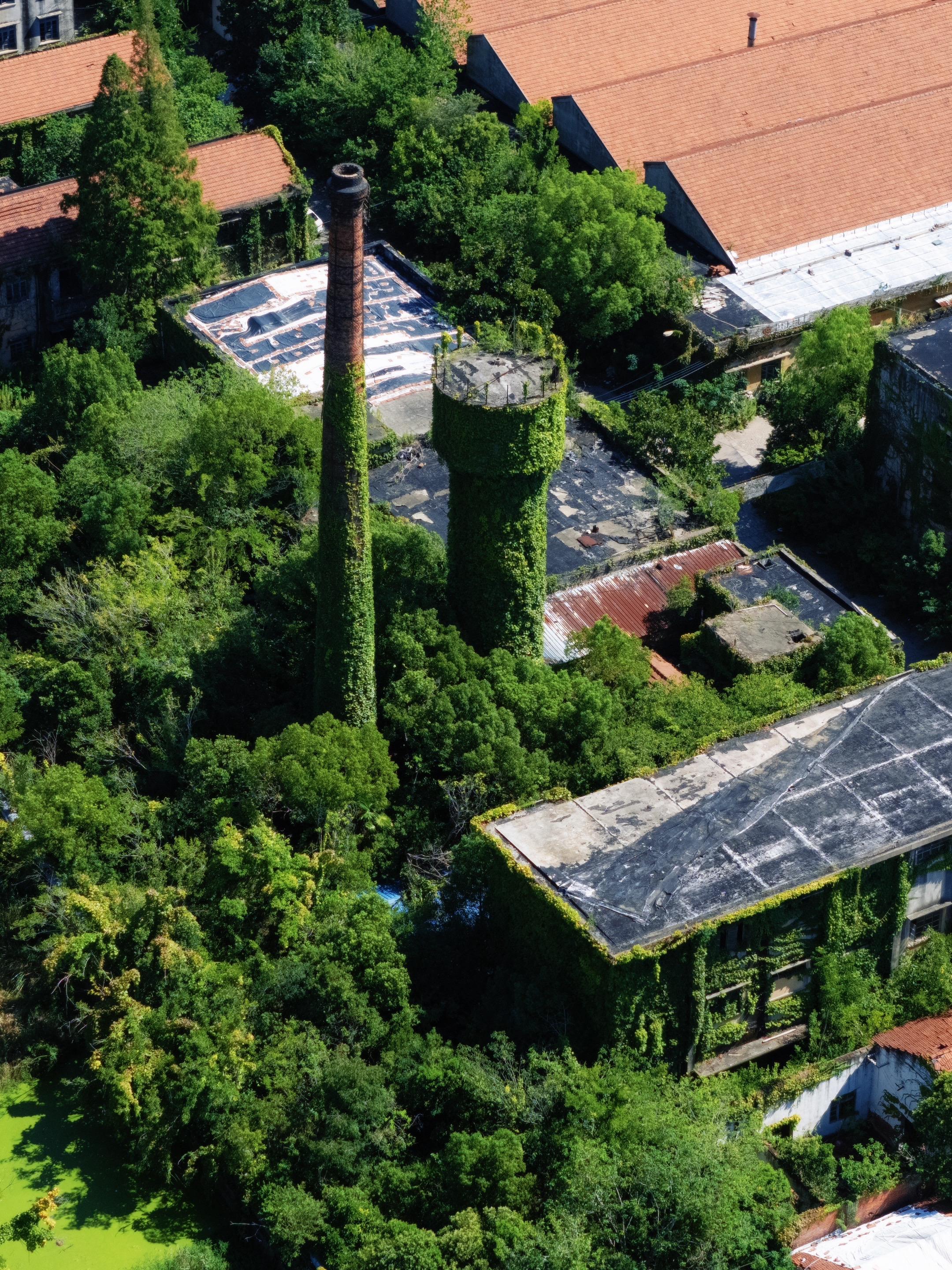 这个赛道被针对了。     想不明白为什么如此针对我的账号，拍这些照片...